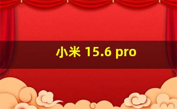 小米 15.6 pro